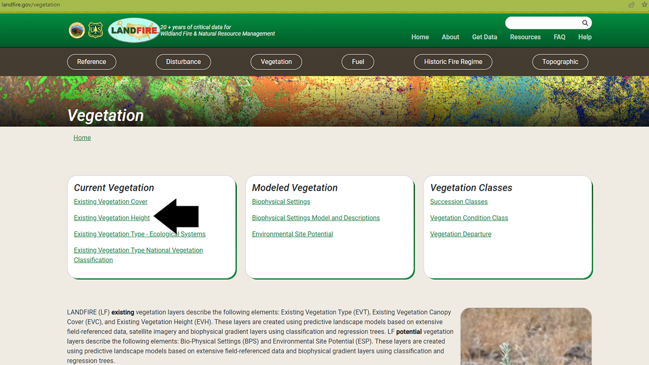 Arrow pointing to the Existing Vegetation Height link on the Vegetation page of the LANDFIRE Program website main page under the Current Vegetation section.