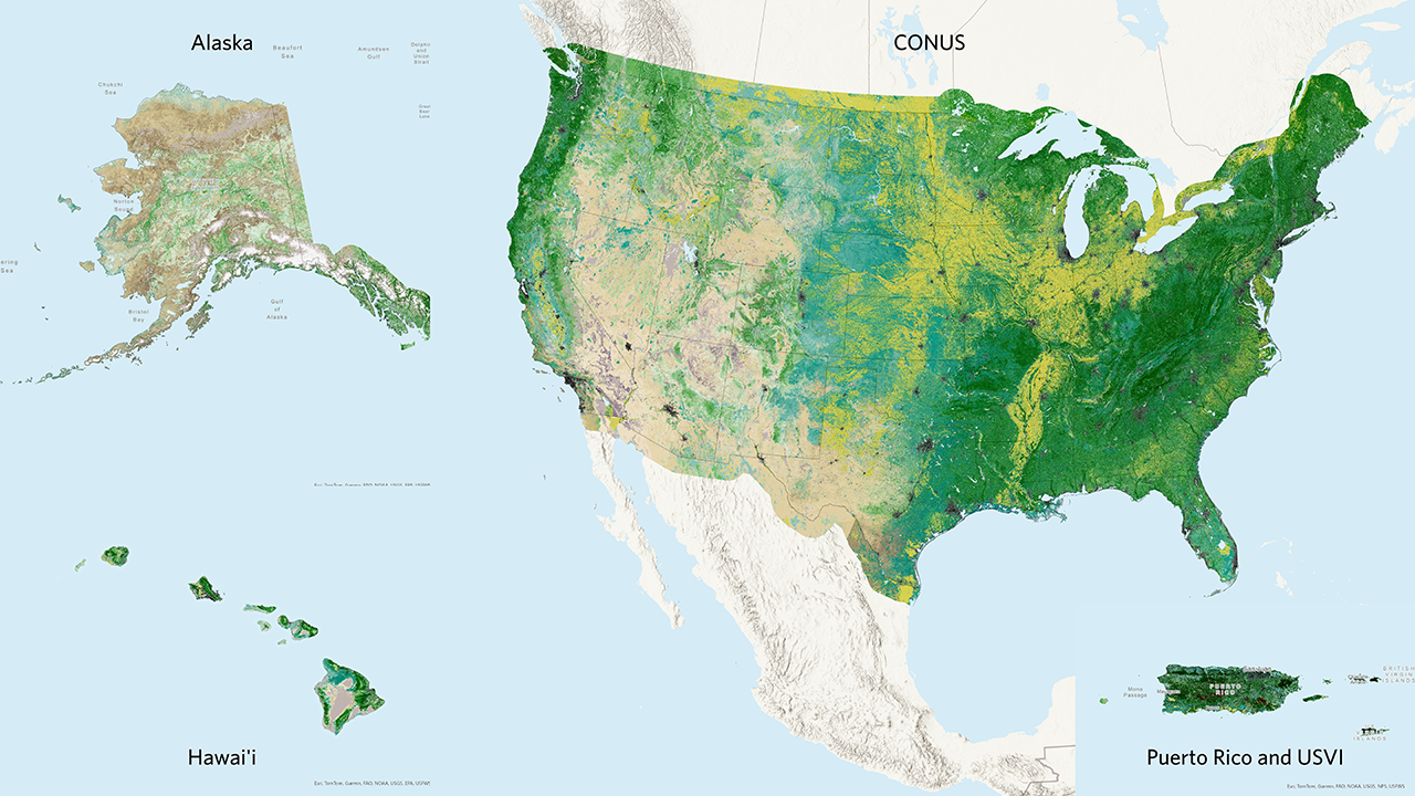 A map of LANDFIRE Existing Vegetation Cover for the Contiguous US, Alaska, Hawaii, and Puerto Rico and the US Virgin Islands, and Pacific insular areas.