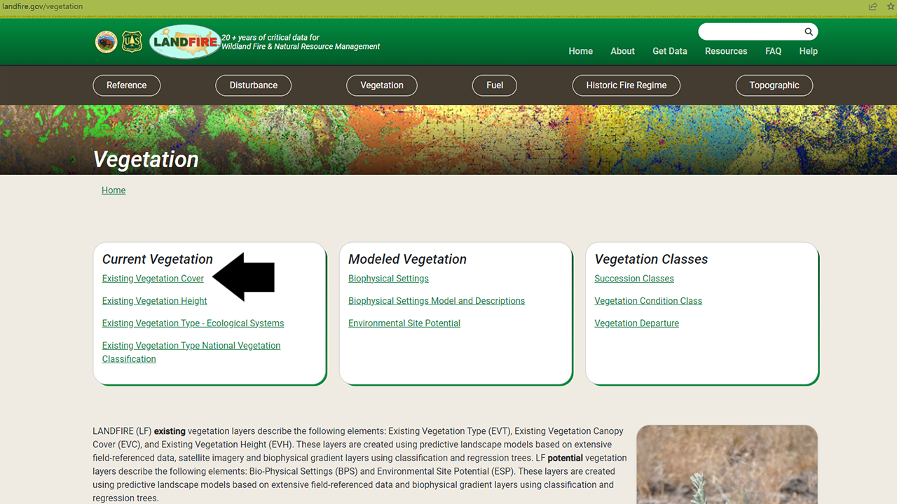 Arrow pointing to the Existing Vegetation Cover link on the Vegetation page of the LANDFIRE Program website main page under the Current Vegetation section.