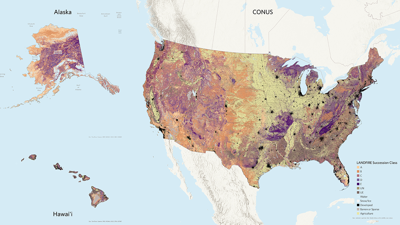 A map of LANDFIRE Succession Class for the Contiguous US, Alaska, and Hawaii.
