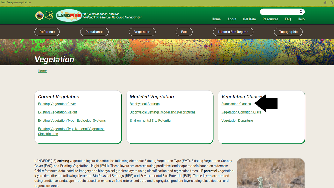 Arrow pointing to the Succession Class link on the Vegetation page of the LANDFIRE Program website main page under the Current Vegetation section.