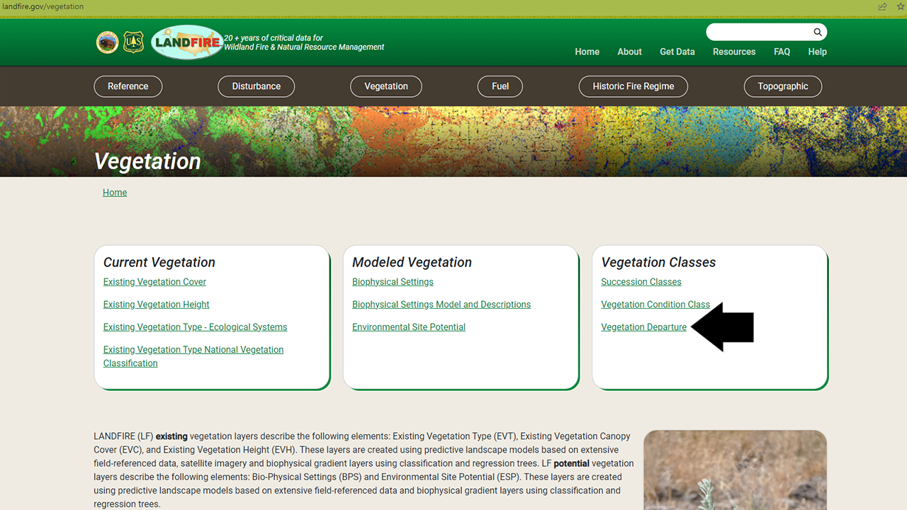 Arrow pointing to the Vegetation Departure link on the Vegetation page of the LANDFIRE Program website main page under the Vegetation Classes section.