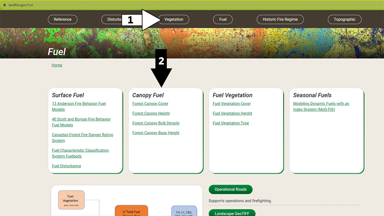 Arrow labeled 1 pointing to the Fuels link on the top navigation bar of the LANDFIRE Program website main and an arrow labeled 2 pointing to three sections of that page - Surface Fuel, Canopy Fuel, and Fuel Vegetation - beneath which are all the LANDFIRE fuels datasets.