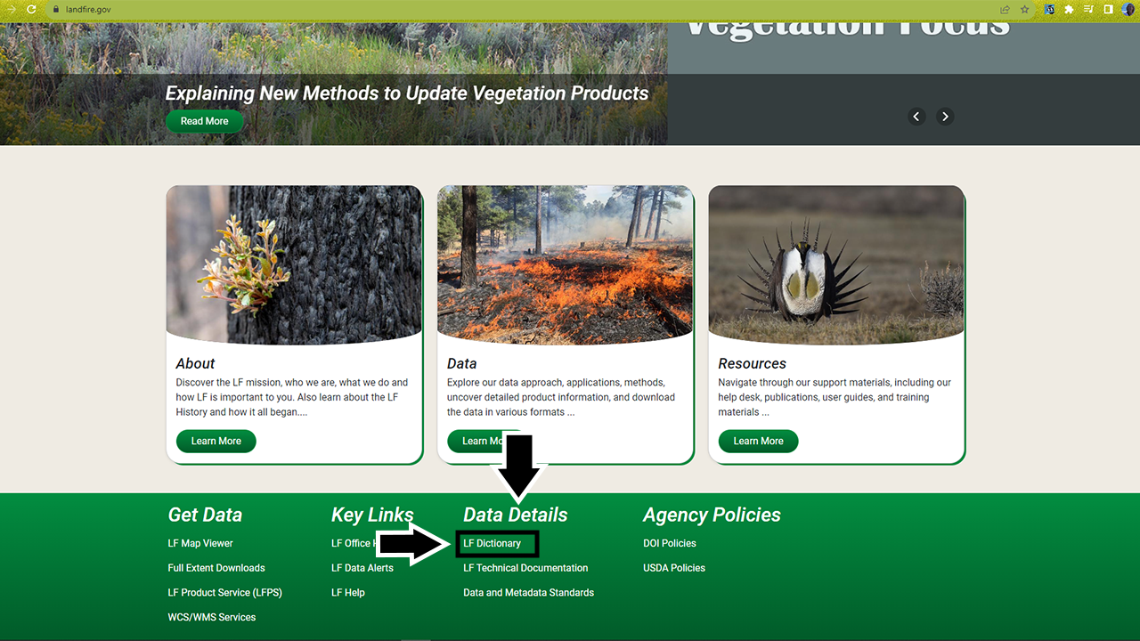 Arrows pointing to the LF Dictionary link at the bottom of the LANDFIRE Program website main page under the Data Details category in the site footer.