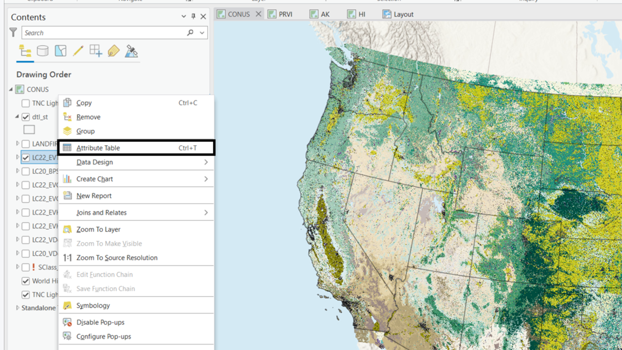 An ArcGIS Pro window showing a layer highlighted in the Table of Contents and the right clicked expansion window open with the Attribute Table selection highlighted.