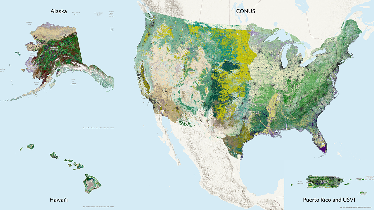 A map of the Existing Vegetation Type data for the Contiguous United States, Alaska, and Hawaii.